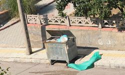 Beytepe 2. Cadde Çöp Kokusu Ve Sinekten Dertli