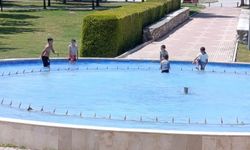 Serinlemek İçin Tehlikeyi Hiçe Sayıyorlar