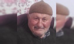 Park Halindeki Minibüste Ölü Bulundu