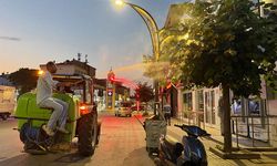 Alaca Belediyesi'nden Haşere Operasyonu
