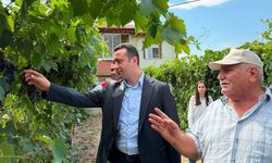Kaymakam Şimşek Aşdağul’da Bağ Alanlarını Gezdi