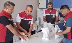 Sertifikalı Tohum Üretiminde Kalite Denetimi