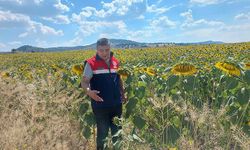 Sungurlu’da Referans Parsel Çalışmaları Devam Ediyor