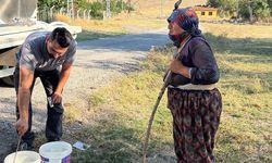 Süt Birliği Sahada Kalite Kontrolü Yaptı