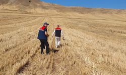 Sungurlu’da Toprak Analizi Yapıldı