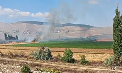 Tanrıvermiş’te 2 Bin Dönüm Alan Kül Oldu