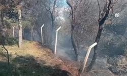 100 Güvercin Özgürlüğe Uçamadı! Yürek Yakan Yangın