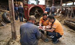 Elini Yem Makinesine Kaptıran Çiftçi Yaralandı