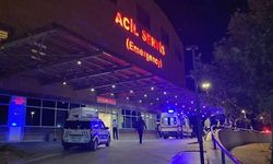 Attan Düşen Kadın Hastanelik Oldu