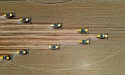Türkiye Tarımsal Hasılada Dünyada 7'nci, Avrupa'da Birinci Sırada