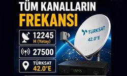 Uydunun Değişmesi Fırsatçılara Yaradı
