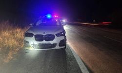 Otomobil Domuzlara Çarptı: 4 Yaralı
