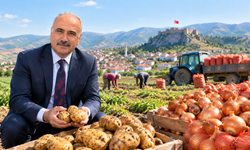 İskilip, Patates Ve Kuru Soğan Üretim Havzasına Dahil Edildi