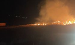 İtfaiyenin Çabası Ormanın Yanmasını Önledi