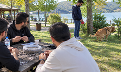 Tatlı Tatlı Çekirdek Yemenin Acı Cezası Oldu