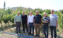 İlçe Protokolü Üzüm Bağı Gezdi