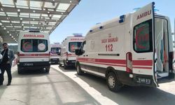 Amca-Yeğen Kavgasını Ayırmak İsterken Canından Oldu!