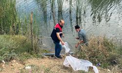 Dodurga'da Gölete Yavru Balık Bırakıldı