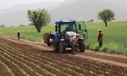 Çiftçilere Yeni Destek Paketi