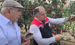 Meyvecilik Yatırımları Yerinde İncelendi