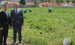 Denetimli Serbestlikte Hasat Mutluluğu