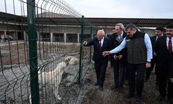 Bakan Çiftçi: “Ekim Sonuna Kadar Başıboş Köpek Kalmayacak”