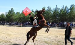 Çorum’da Rahvan At Yarışlarına Yoğun İlgi