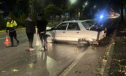 Kontrolden Çıkan Otomobil Ağaca Çarptı