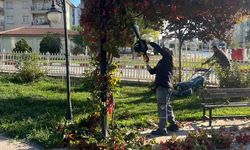 Sungurlu’da parklarda kış bakımı başladı