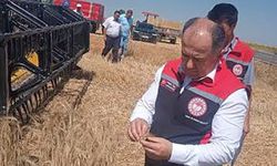 Tarım ve Orman İl Müdürlüğü’nün calışması uluslarara akademik alana taşındı