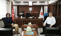 Boşanma Sürecinde Danışmalık ve Aile Danışmanlığı Hizmetleri Kamu Kurumlarında Tanıtıldı