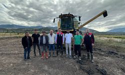 Laçin’de Çeltik Hasadı Başladı
