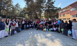Hitit Üniversitesinden Dünya Kız Çocukları Günü'nde Bilim Kafe etkinliği