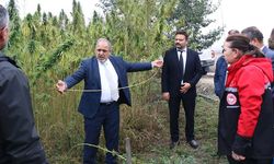 Çorum’da Kenevir Yetiştiriciliği ve Kullanım Alanlarına Yönelik Eğitim Gerçekleştirildi