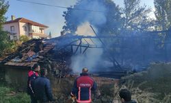 Alevler samanlığı sardı, itfaiye seferber oldu
