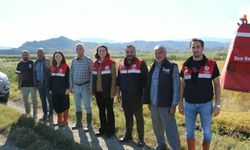 Dodurga Kaymakamı Tokur, çeltik üreticilerini ziyaret etti