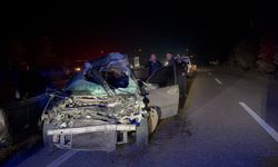 Hayvana çarpan otomobilin sürücüsü öldü