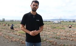 Ömerbey Köyü’nde Soğan Hasadı
