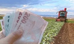 Sertifikalı tohum destekleri hesaplara yattı