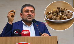 Oğuzlar cevizi için dikkat çeken çağrı: “Herkes akın etsin”