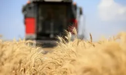 Türkiye’nin dev gıda şirketi iflas etti!