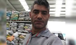 Trafik kazası hayattan kopardı