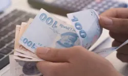 Vatandaşlık maaşı geliyor