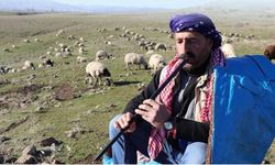 Sürü yönetimi kursu açılacak