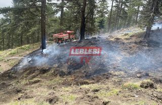 Ormanlık Alandaki Yangın Büyümeden Söndürüldü