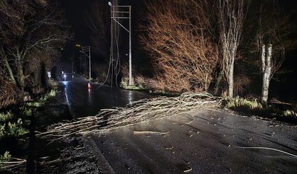 Fırtına Çorum’u Vurdu: Elektrik Telleri Koptu, Ağaçlar Devrildi