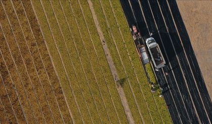 5 Soruda Tarıma Yönelik Hazine Destekli Yatırım Ve İşletme Kredileri