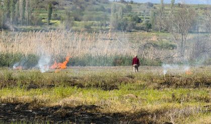 Doğa Katliamı! Sazlıklar Yakıldı, Canlıların Yaşam Alanı Yok Edildi