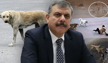 Bakan Çiftçi’den Net Açıklama, "Yılbaşına Kadar Sokaklarda Bir Tane Kalmayacak"