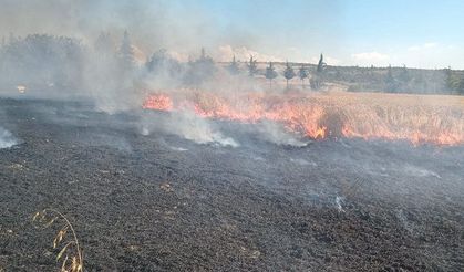 Büyük Palabıyık Köyü’nde 4 Dönüm Ekili Arazi Küle Döndü